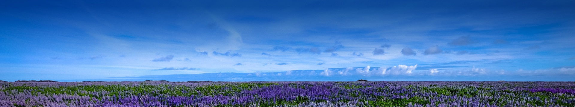 沈阳甲宝山公墓